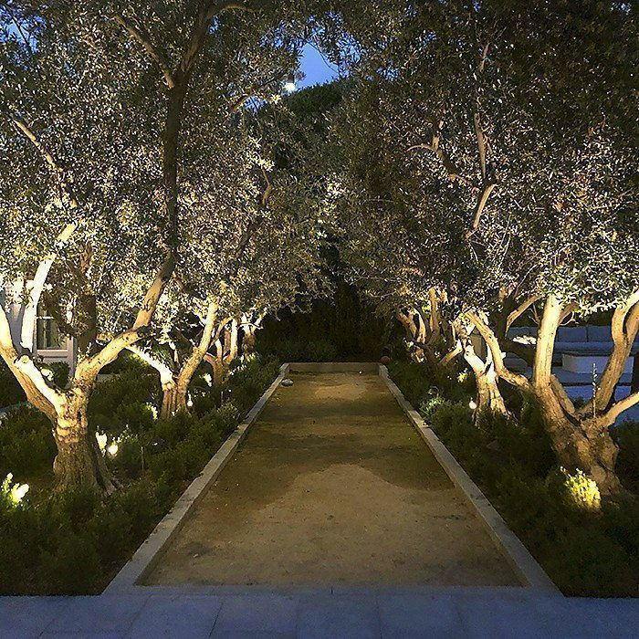 Landscape lighting at night