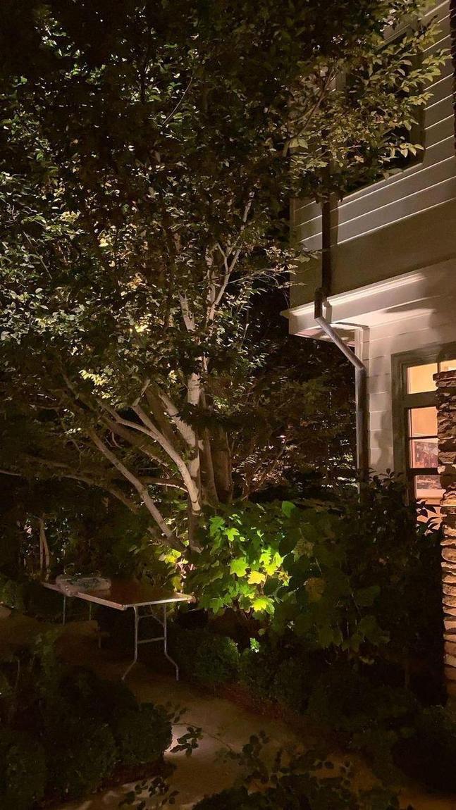Landscape lighting at night