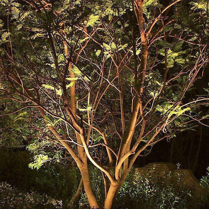 Landscape lighting at night