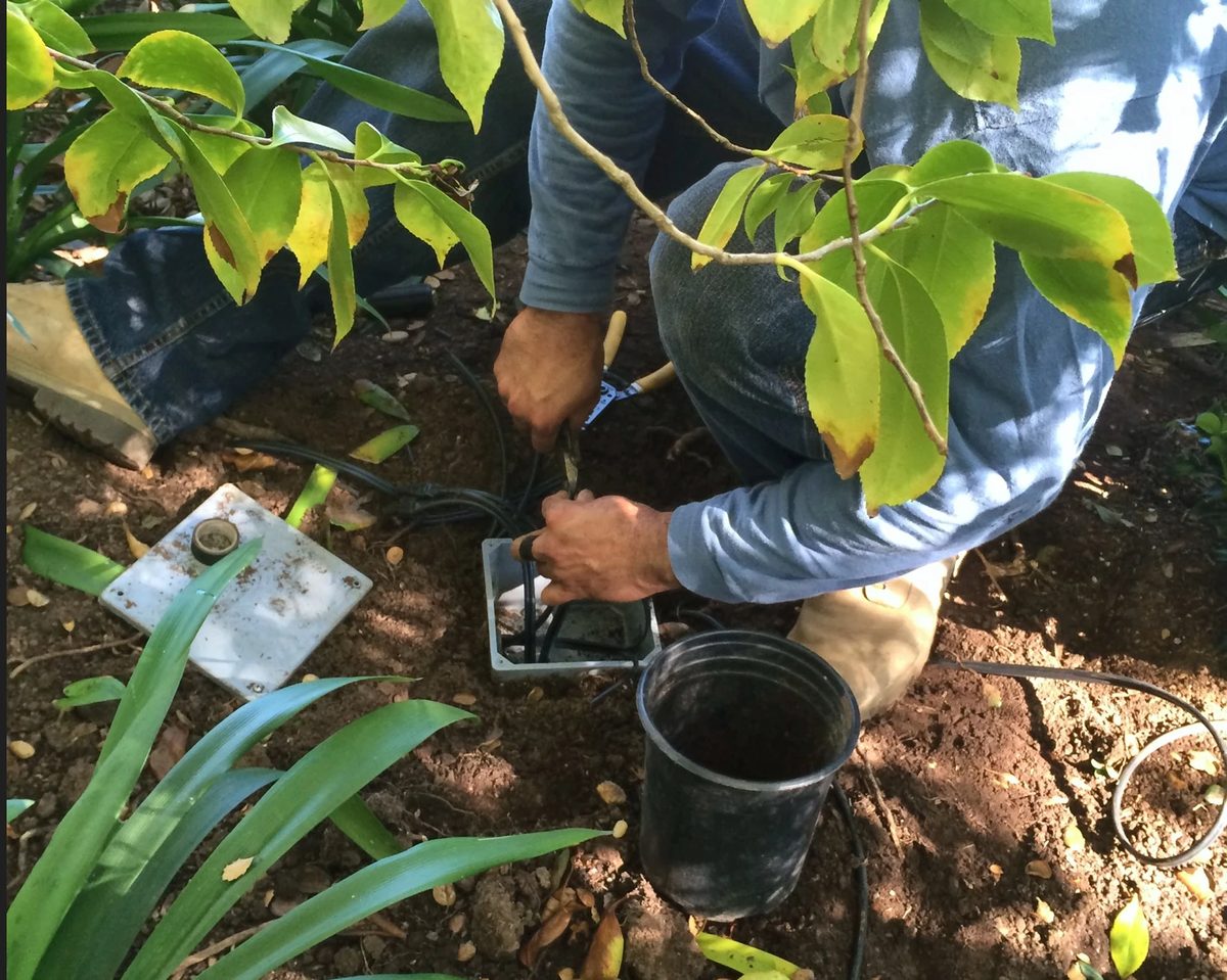A crew member wiring a junction box in the ground
