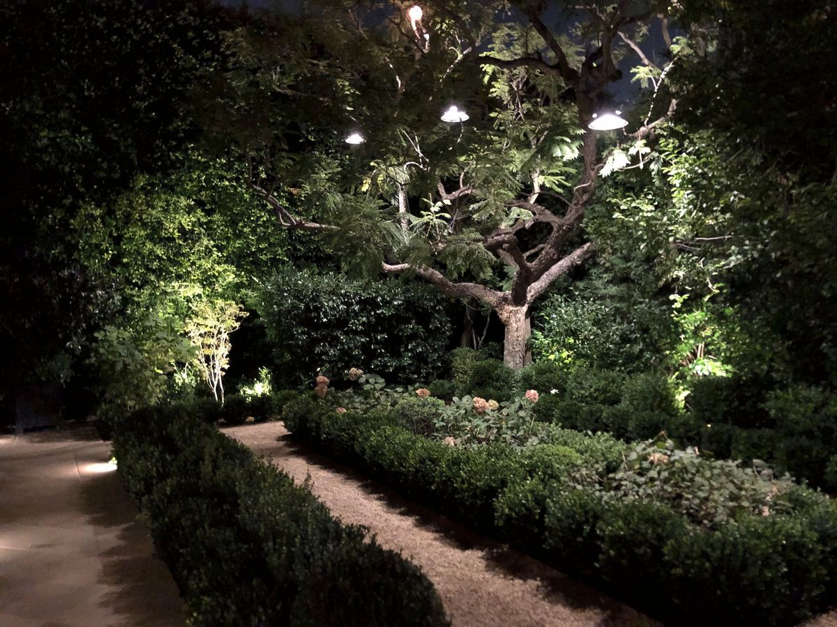 Moonlit oak clipped hedge borders