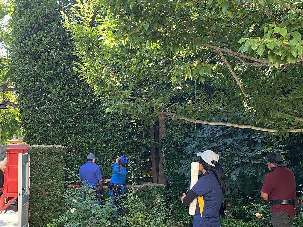 The LightScaper crew working on a property