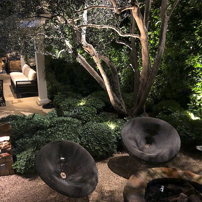 Soft light over a garden