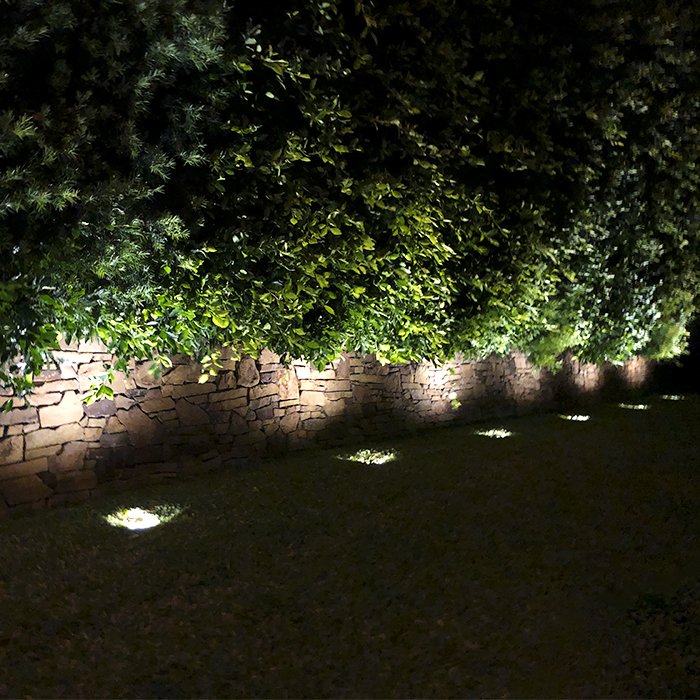 Light washing a hedge and stone wall