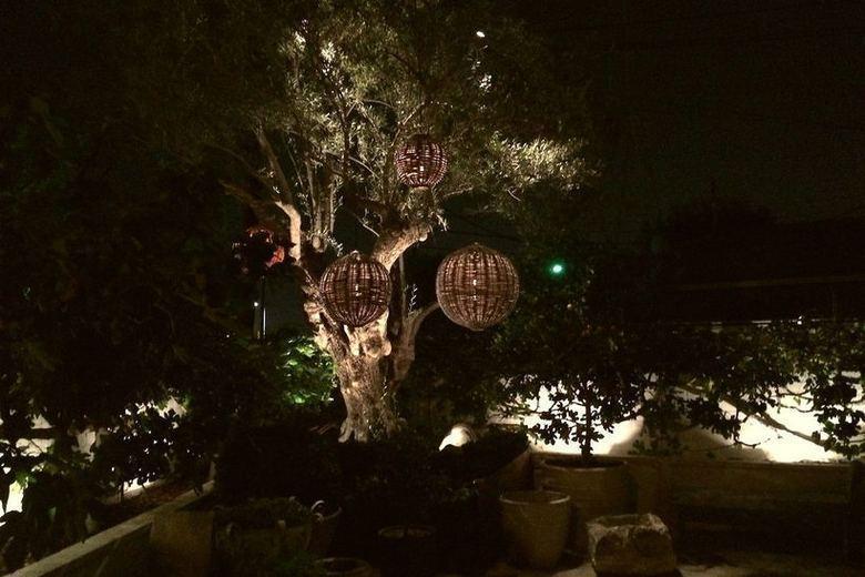 A restaurant courtyard lit at night