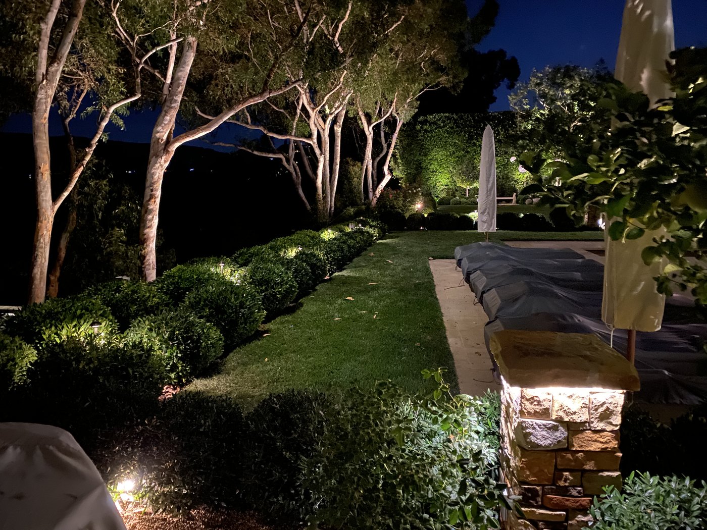 A lit hillside garden at dusk with uplit trees and hedges