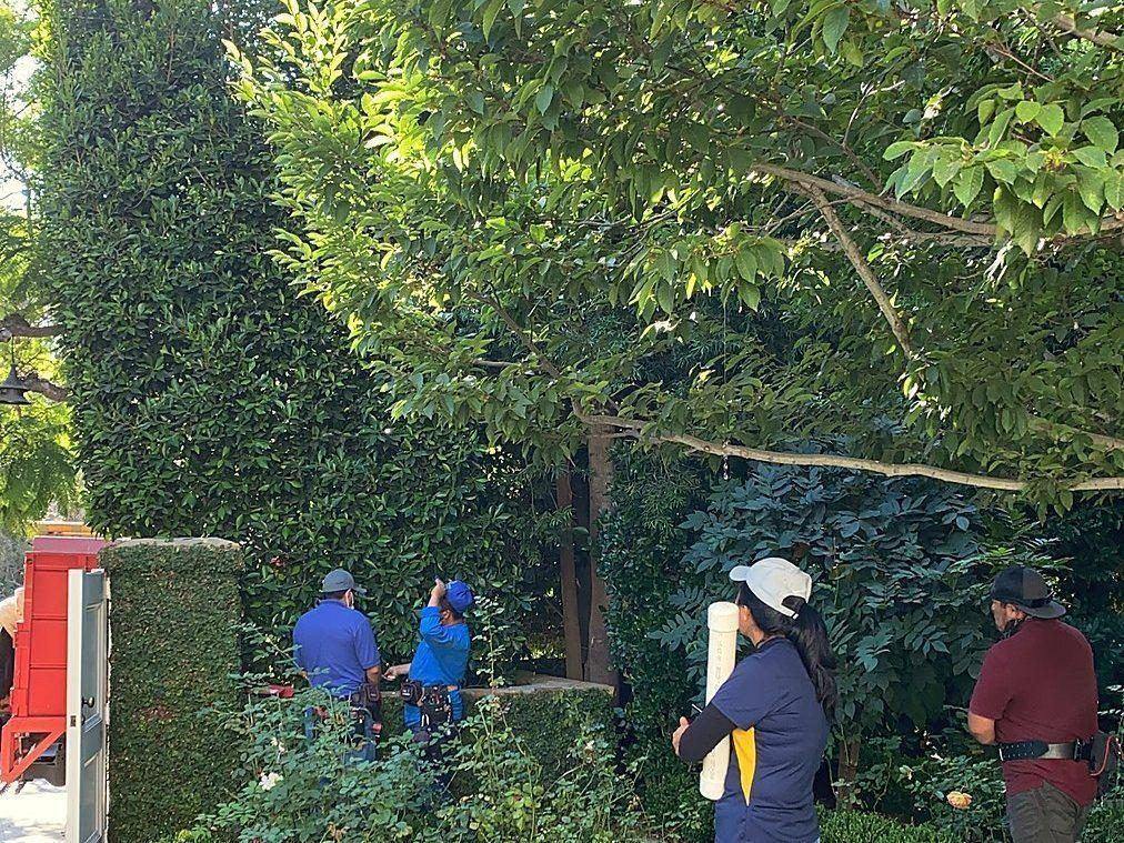 LightScaper crew conducting a site walkthrough