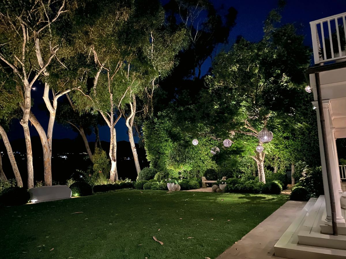 Uplit eucalyptus lanterns lawn