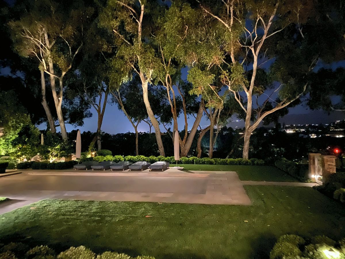 Uplit eucalyptus lawn city view