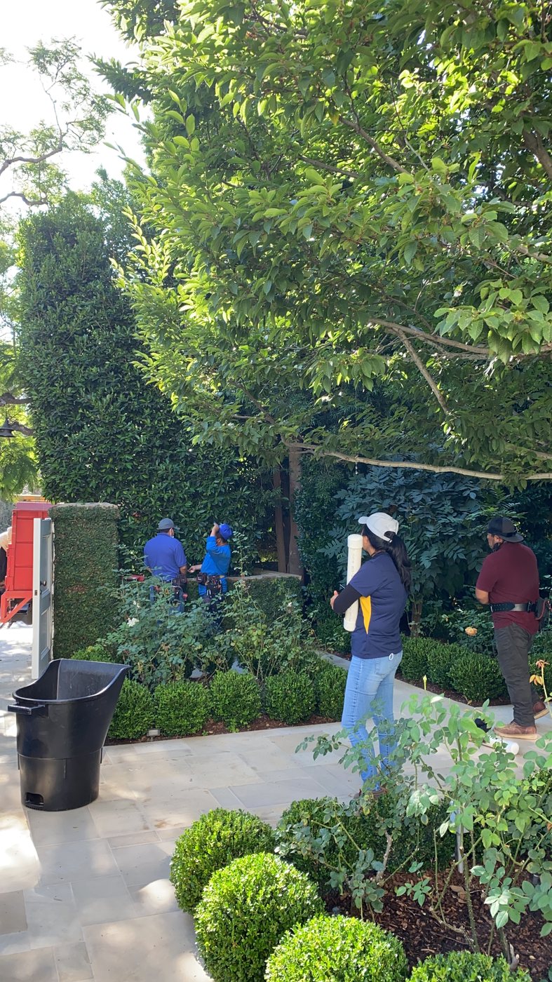 The LightScaper crew installing in a hedge garden